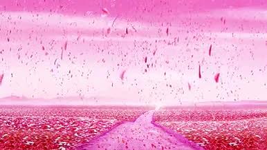 粉色花瓣飘落浪漫花海舞台视频素材视频的预览图